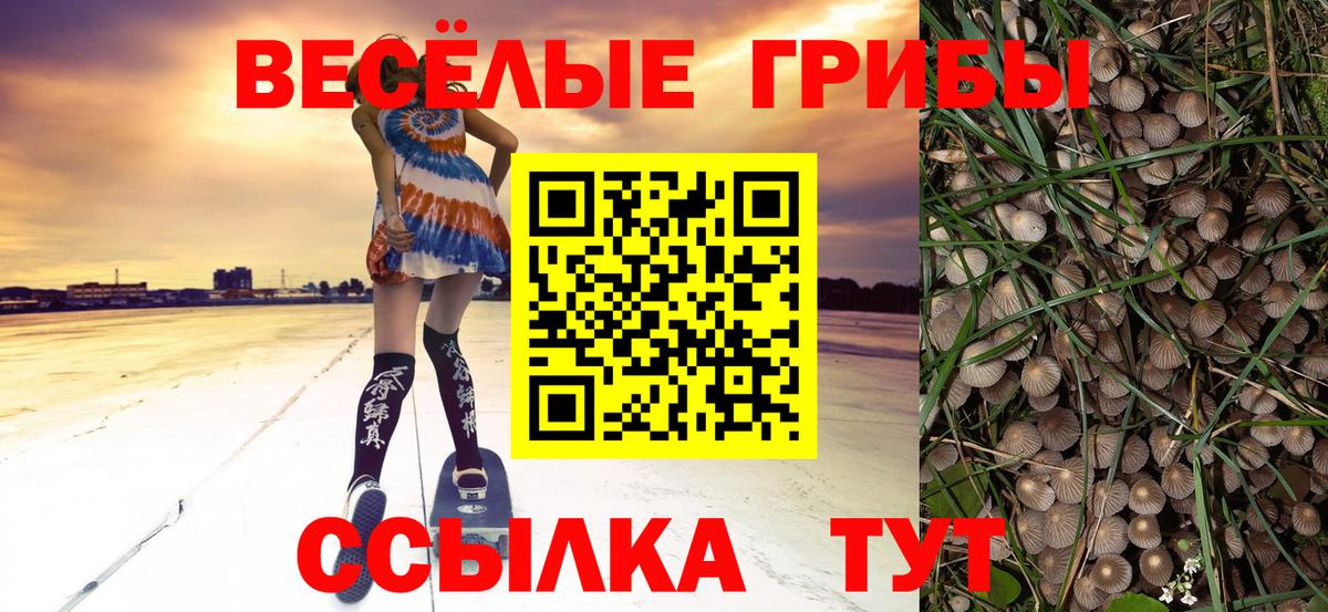 Галлюциногенные грибы MAGIC MUSHROOMS Барнаул